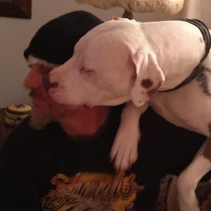 Meet your Posher, James